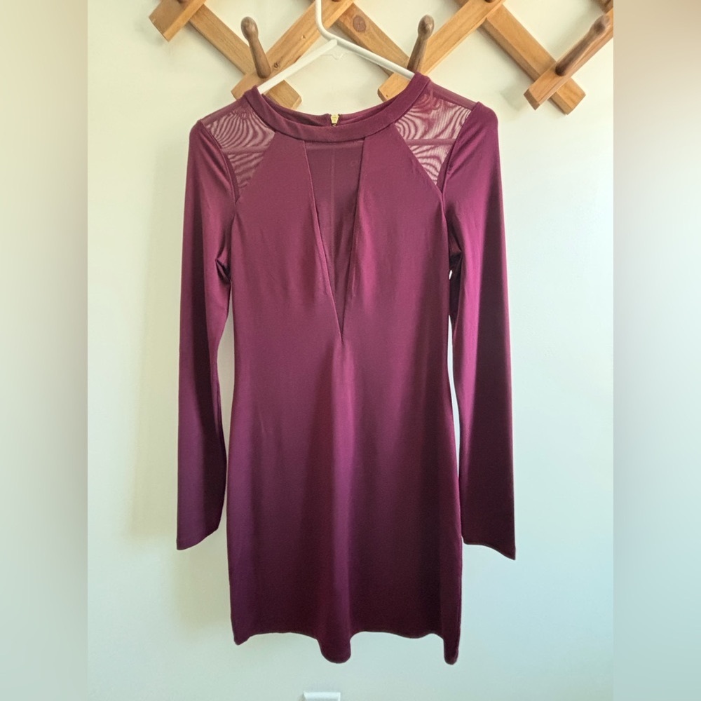 Express dress size XS. Sheer long sleeves and sheer deep V. Zip back. Above knee